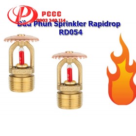 Đầu Phun Chữa Cháy Sprinkler Rapidrop Anh Hướng Lên Phản Ứng Tiêu Chuẩn RD054