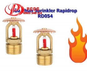 Đầu Phun Chữa Cháy Sprinkler Rapidrop Anh Hướng Lên Phản Ứng Tiêu Chuẩn RD054